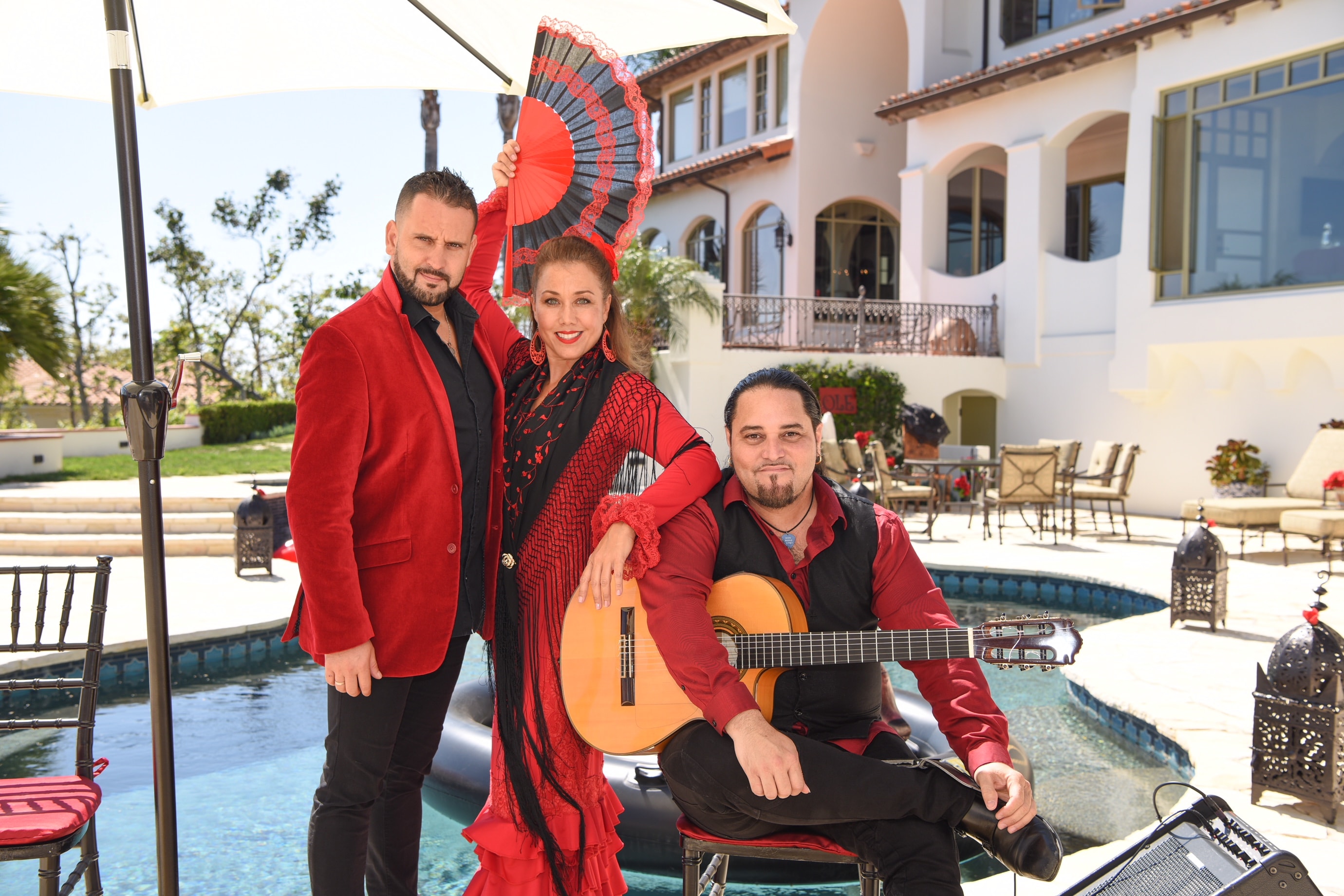 Flamenco dancer in motion